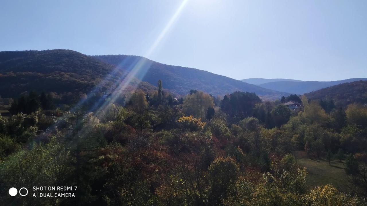 Sky Apartman Sokobanja Zewnętrze zdjęcie