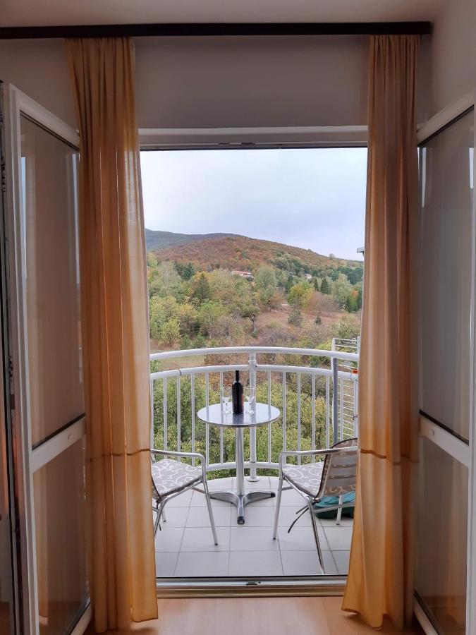 Sky Apartman Sokobanja Zewnętrze zdjęcie