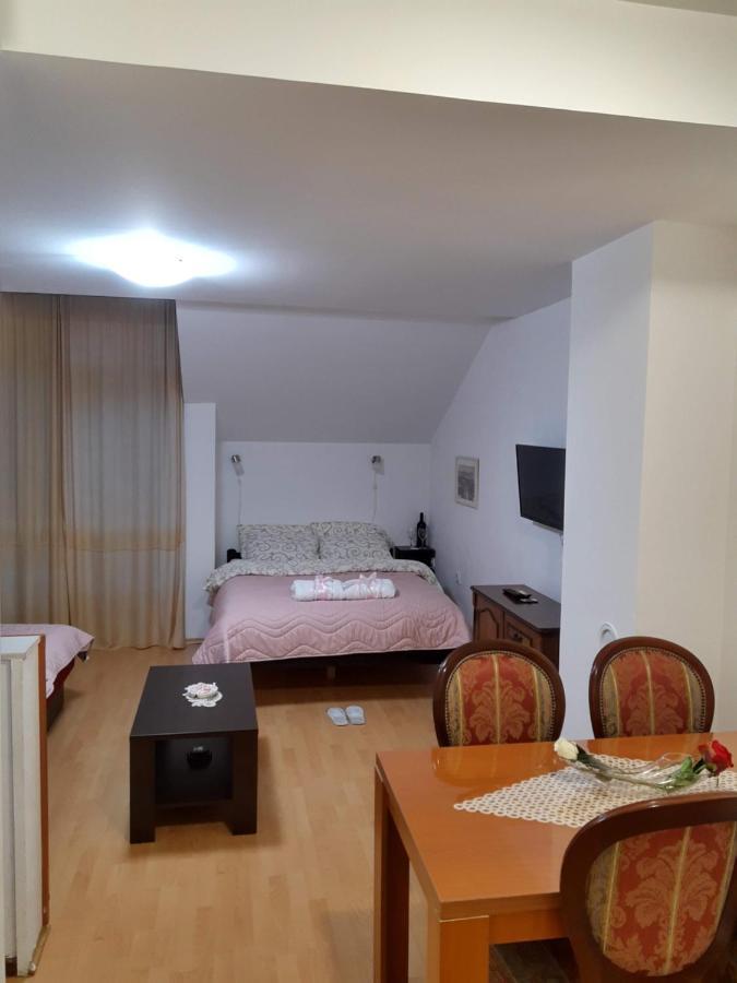 Sky Apartman Sokobanja Zewnętrze zdjęcie