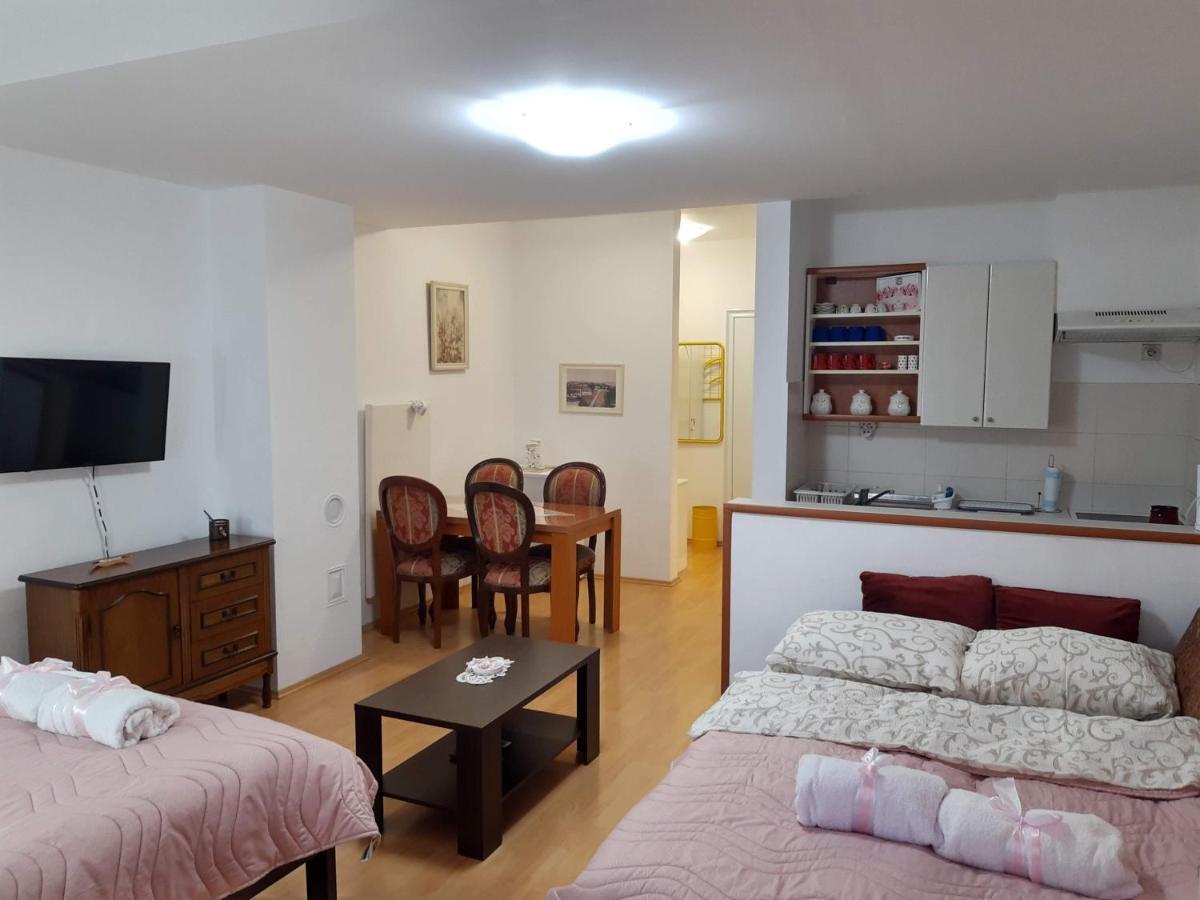 Sky Apartman Sokobanja Zewnętrze zdjęcie